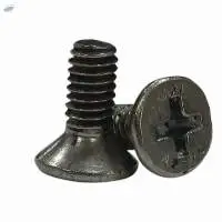 Phillips Csk