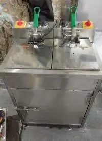 Twin Tank Electric Fryer