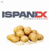 All Kinds Of Potatoes