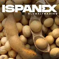 Soybean