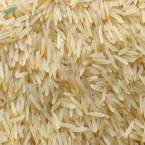 Non Basmati Rice