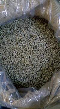 Coffee Beans Robusta and Arabica