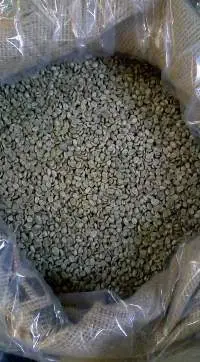 Coffee Beans Robusta and Arabica