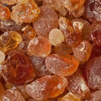 Gum Arabic : Acacia Senegal Acacia Seyal