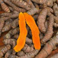 Turmeric