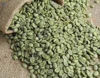 Arabica Green Coffee Beans