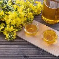 Refined Canola Oil