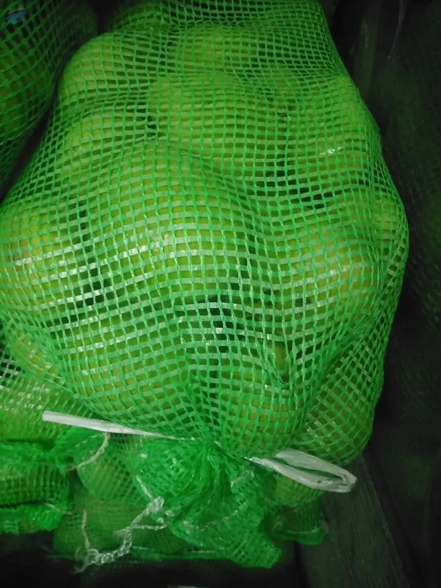 Green Mango by Bahr Alahlam Foodstuff Trading LLC. Supplier from United Arab Emirates. Product