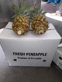 Pineapple