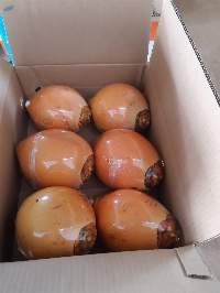 Tender Coconut
