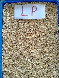 Cashew Nut LP
