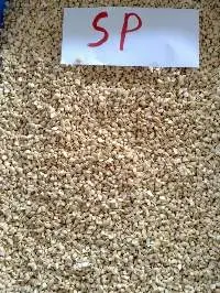 Cashew Nut SP