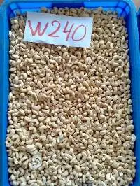 Cashew Nut W240