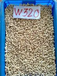 Cashew nut W320