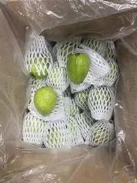 Guava