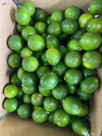 Lime