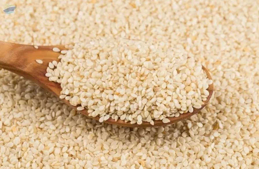 Sesame