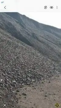 Indonesia Coal