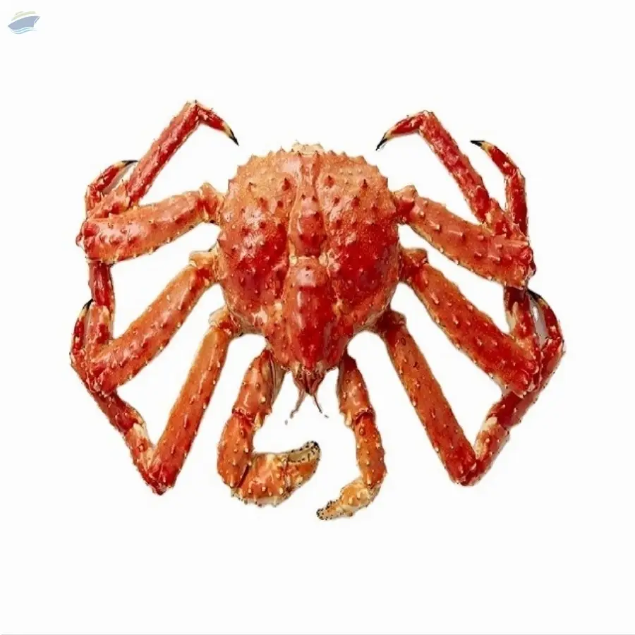 Frozen Alaskan King Crab Legs King Crab Legs by Marjan Alwadi Foodstuffs Trading LLC. Supplier