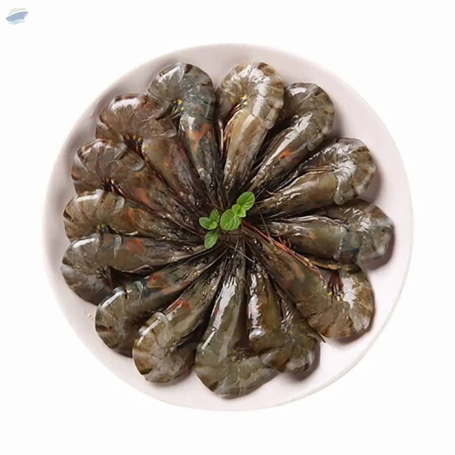 Origin Fresh/ Frozen Vannamei Shrimp by Marjan Alwadi Foodstuffs Trading LLC. Supplier from