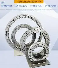 Slew Ring