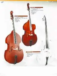 Bass Music Instrument