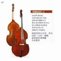 Cello Bass