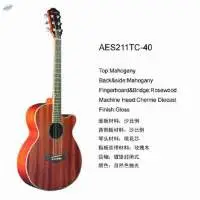 Folk Guitar