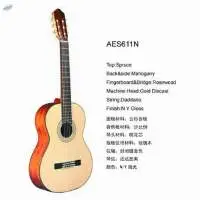 Folk Guitar