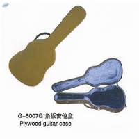Guitar Case