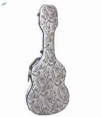 Guitar Case