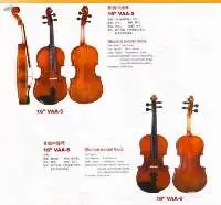 Viola