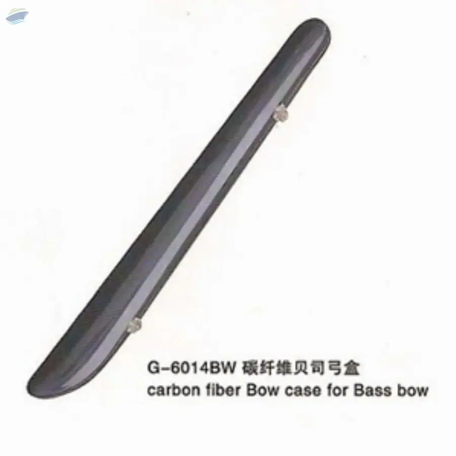 Violin Case