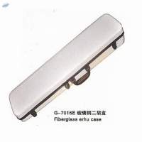 Violin Case
