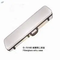 Violin Case