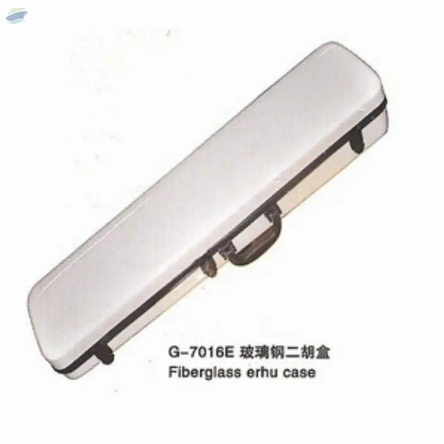 Violin Case