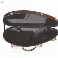 Saxophone Case