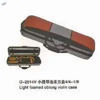Violin Case