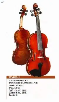 Violin