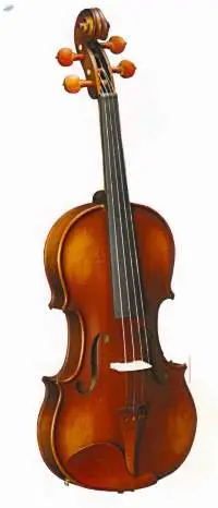 Violin