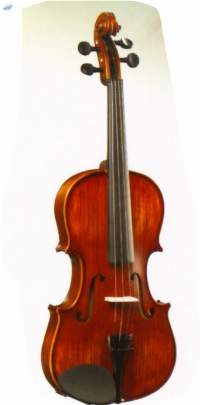 Violin