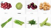 Fresh Vegetables Indian