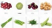 Fresh Vegetables Indian