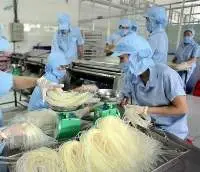 Dry Rice Noodle