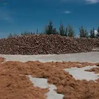 Coco Fibre