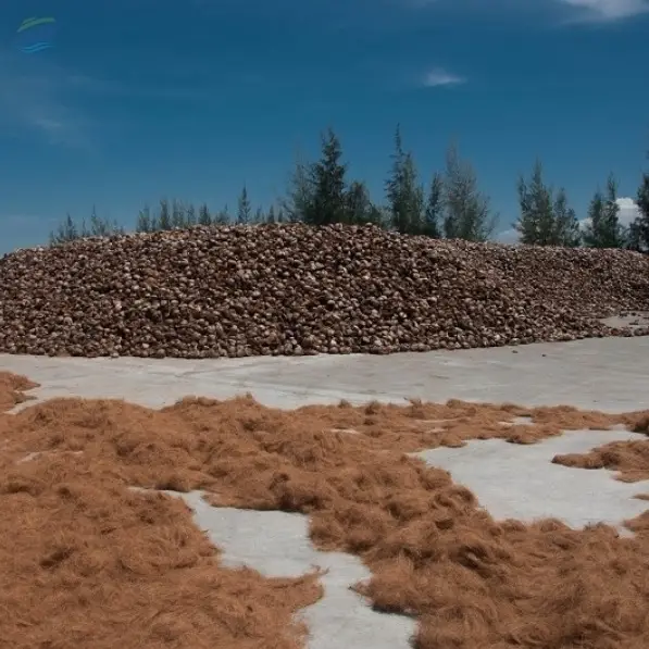 Coco Fibre