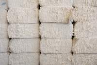 Cotton Bales