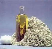 Cotton Oil Seed