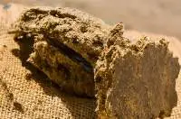 Cotton Oil Seed Cake