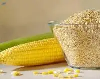Maize Germ